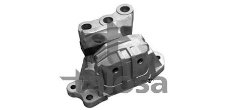 Variklio montavimas TALOSA 61-13276