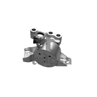 Variklio montavimas TALOSA 61-13395