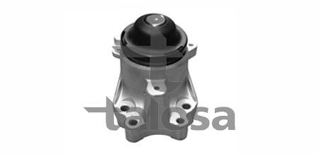 Variklio montavimas TALOSA 61-13401