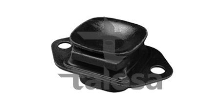 Variklio montavimas TALOSA 61-13406