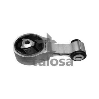 Variklio montavimas TALOSA 61-14055