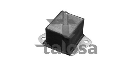 Variklio montavimas TALOSA 61-14056