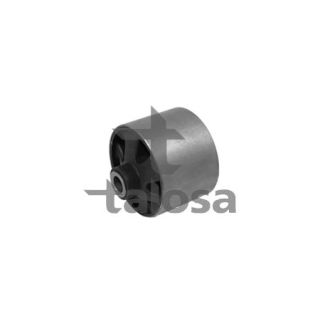 Variklio montavimas TALOSA 61-14111