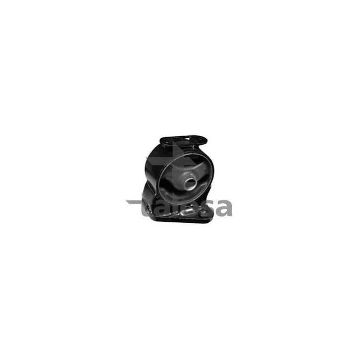 Variklio montavimas TALOSA 61-15126