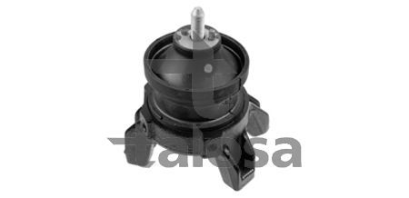 Variklio montavimas TALOSA 61-15133