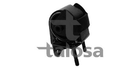 Variklio montavimas TALOSA 61-15384