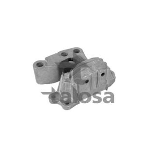 Variklio montavimas TALOSA 61-15531