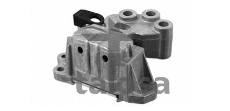 Variklio montavimas TALOSA 61-15533