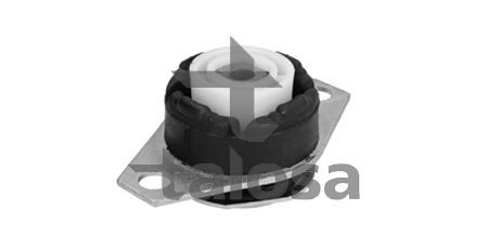 Variklio montavimas TALOSA 61-15675