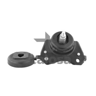 Variklio montavimas TALOSA 61-15795