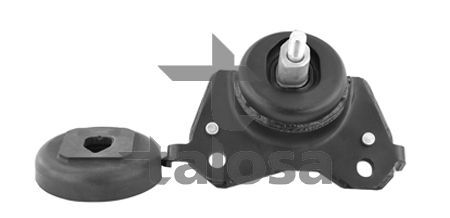 Variklio montavimas TALOSA 61-15795