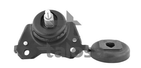 Variklio montavimas TALOSA 61-15796