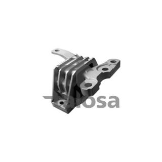 Variklio montavimas TALOSA 61-15995