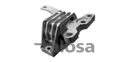 Variklio montavimas TALOSA 61-15995