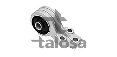 Variklio montavimas TALOSA 61-16013