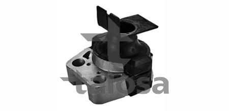 Variklio montavimas TALOSA 61-16248