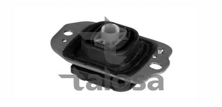 Variklio montavimas TALOSA 61-16725