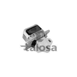 Variklio montavimas TALOSA 61-16906