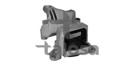 Variklio montavimas TALOSA 61-19925