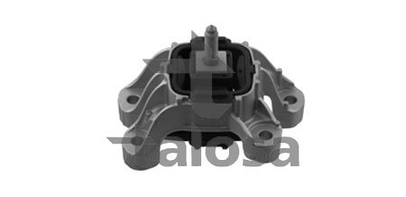 Montavimas, automatinė transmisija TALOSA 62-17432