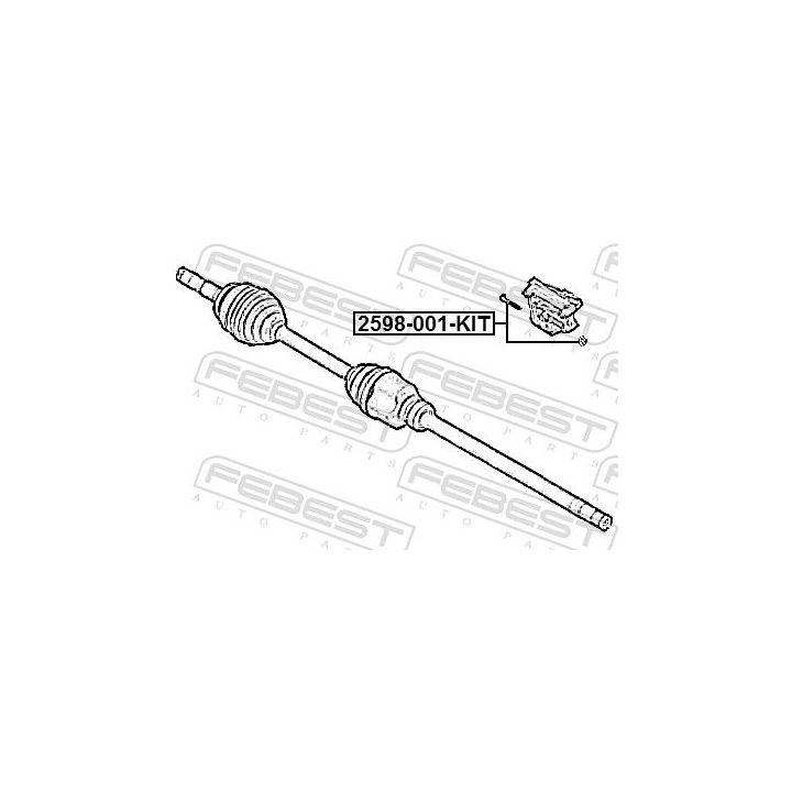 Ašies varžtas, kardaninis velenas FEBEST 2598-001-KIT
