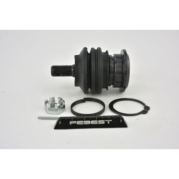 Šarnyras / girgždukas FEBEST 0120-065