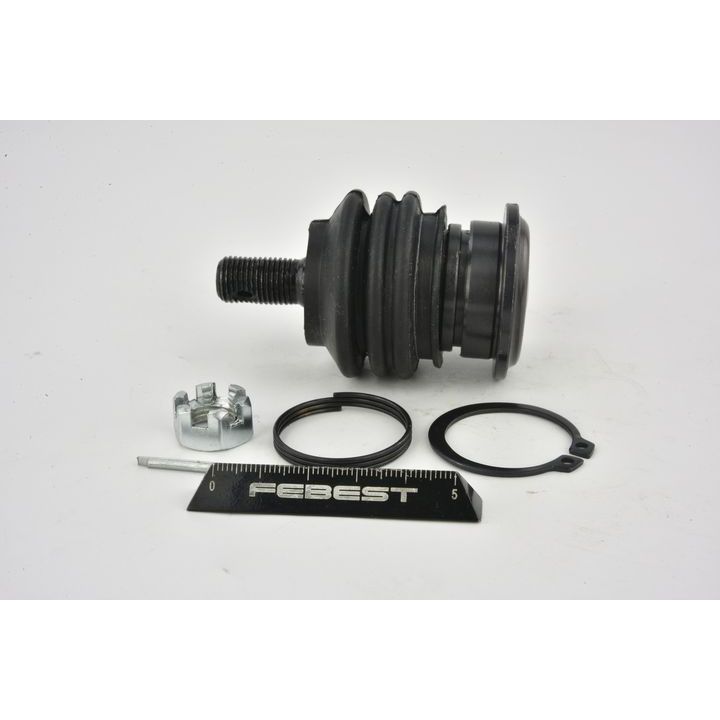 Šarnyras / girgždukas FEBEST 0120-065