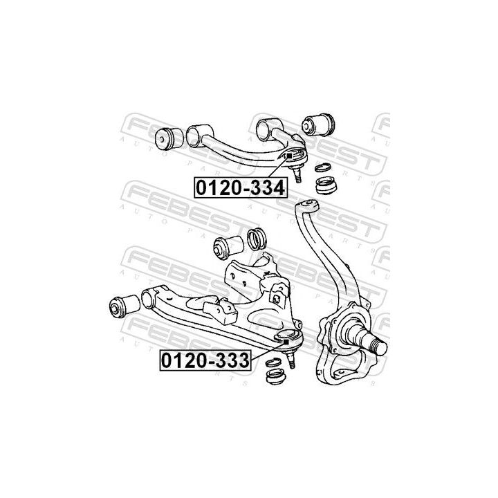 Šarnyras / girgždukas FEBEST 0120-333