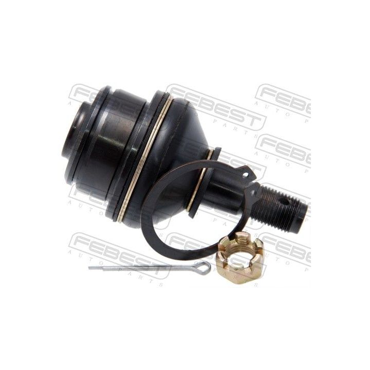 Šarnyras / girgždukas FEBEST 0120-335