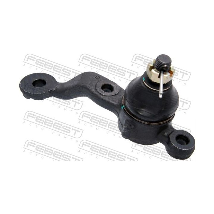 Šarnyras / girgždukas FEBEST 0120-JZS160RH