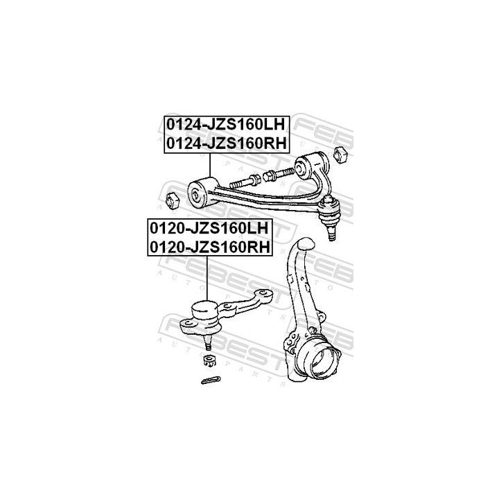 Šarnyras / girgždukas FEBEST 0120-JZS160RH