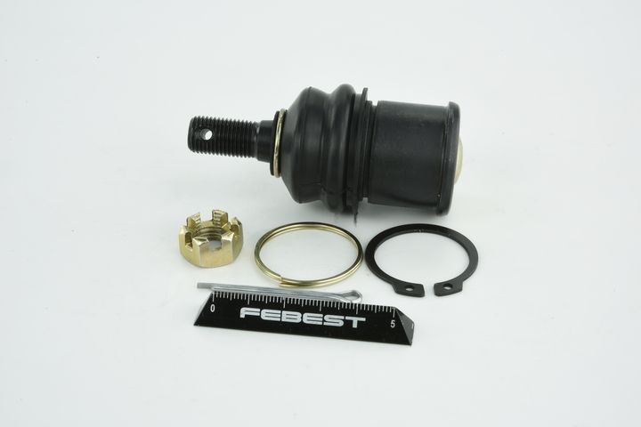 Šarnyras / girgždukas FEBEST 0220-065