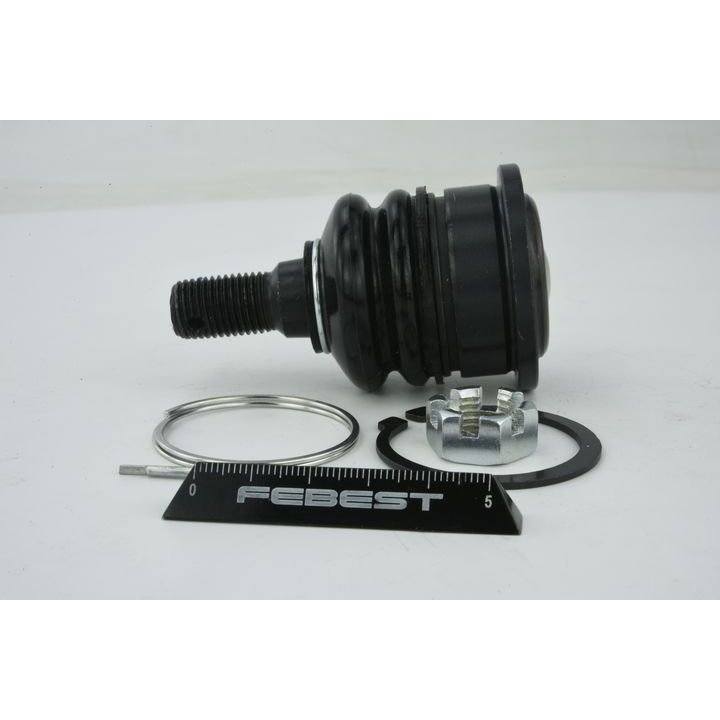 Šarnyras / girgždukas FEBEST 0220-109