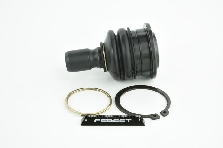 Šarnyras / girgždukas FEBEST 0220-A60LOWR