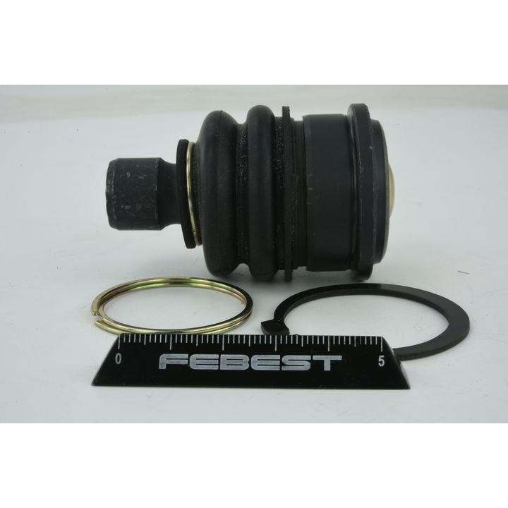 Šarnyras / girgždukas FEBEST 0220-C11