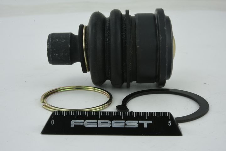 Šarnyras / girgždukas FEBEST 0220-C11