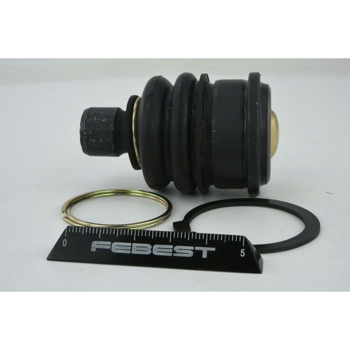 Šarnyras / girgždukas FEBEST 0220-C11