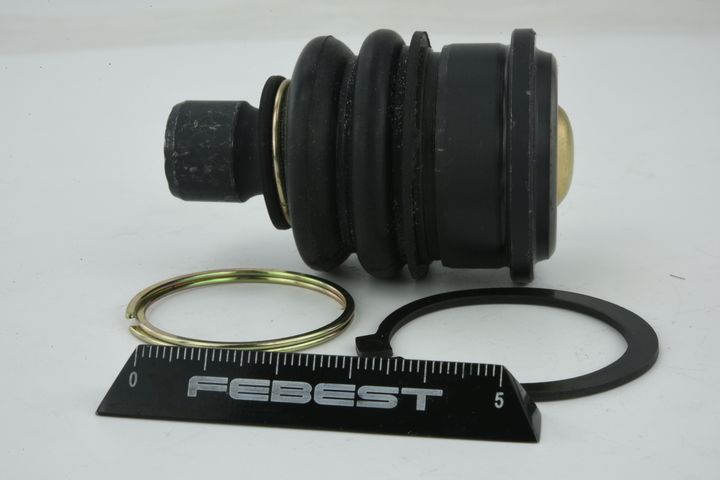 Šarnyras / girgždukas FEBEST 0220-C11