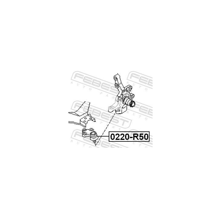 Šarnyras / girgždukas FEBEST 0220-R50