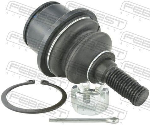 Šarnyras / girgždukas FEBEST 1020-TRBLOWF