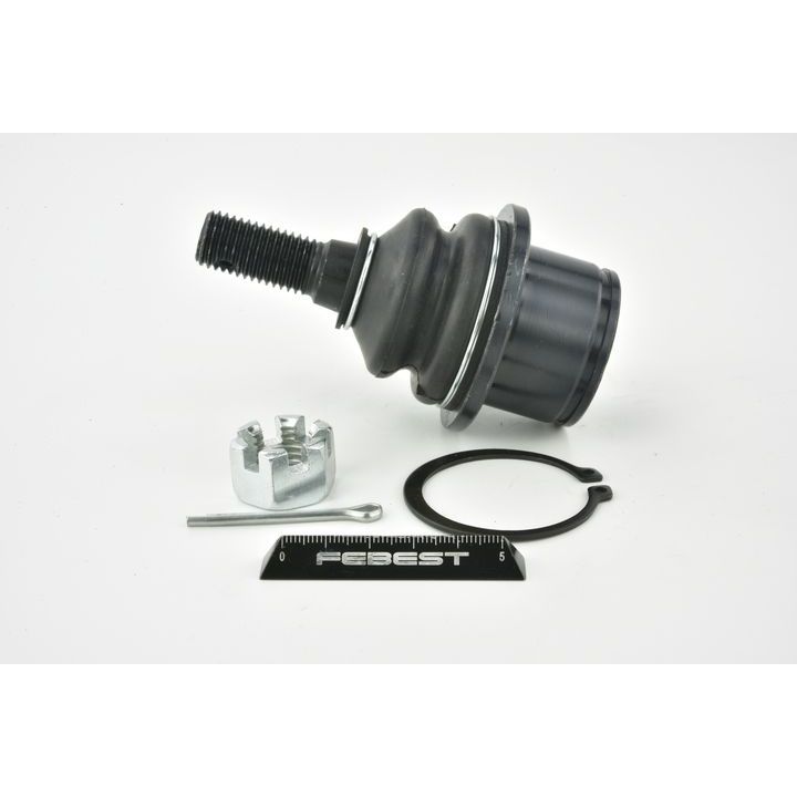 Šarnyras / girgždukas FEBEST 1020-TRBLOWF