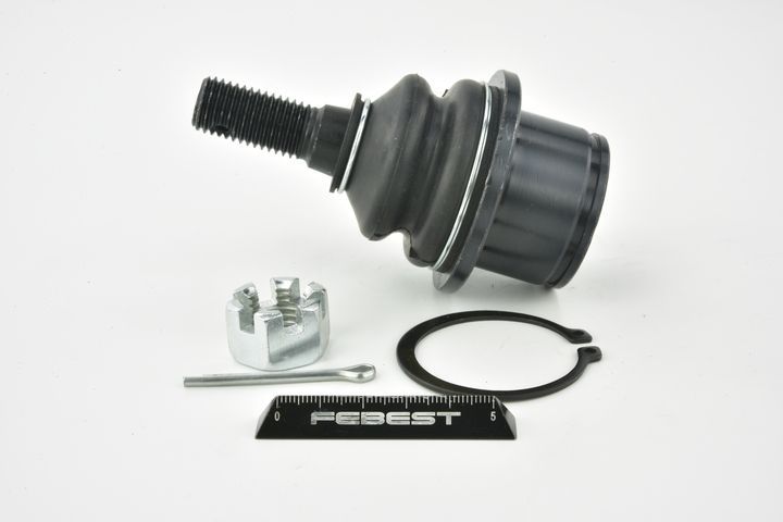 Šarnyras / girgždukas FEBEST 1020-TRBLOWF