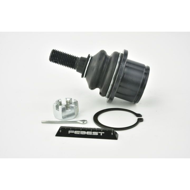 Šarnyras / girgždukas FEBEST 1020-TRBLOWF