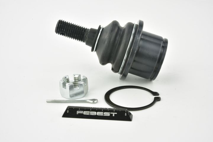 Šarnyras / girgždukas FEBEST 1020-TRBLOWF