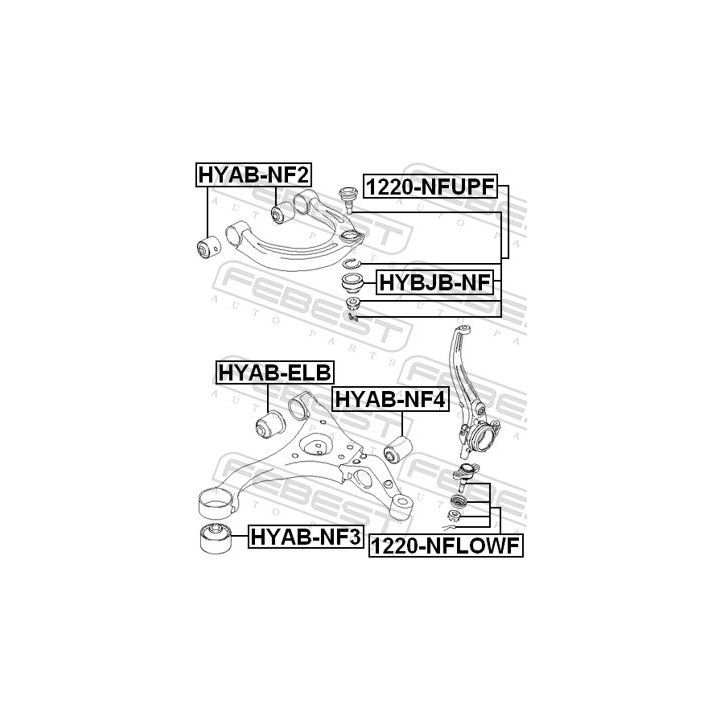 Šarnyras / girgždukas FEBEST 1220-NFLOWF