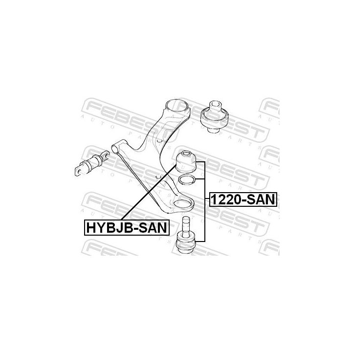 Šarnyras / girgždukas FEBEST 1220-SAN