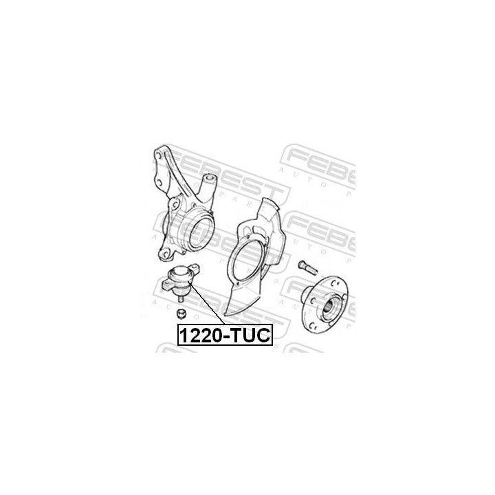 Šarnyras / girgždukas FEBEST 1220-TUC