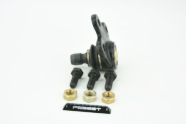 Šarnyras / girgždukas FEBEST 1820-J13F