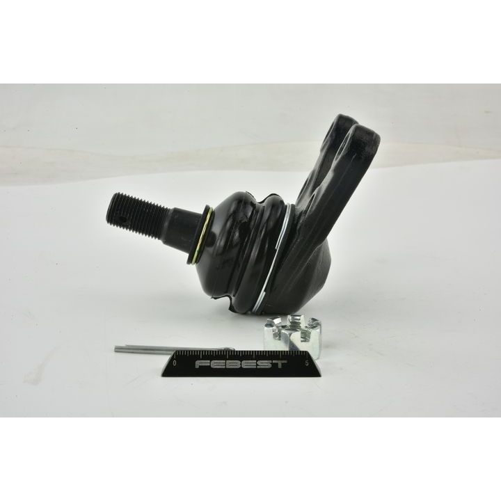 Šarnyras / girgždukas FEBEST 2120-EQLOW