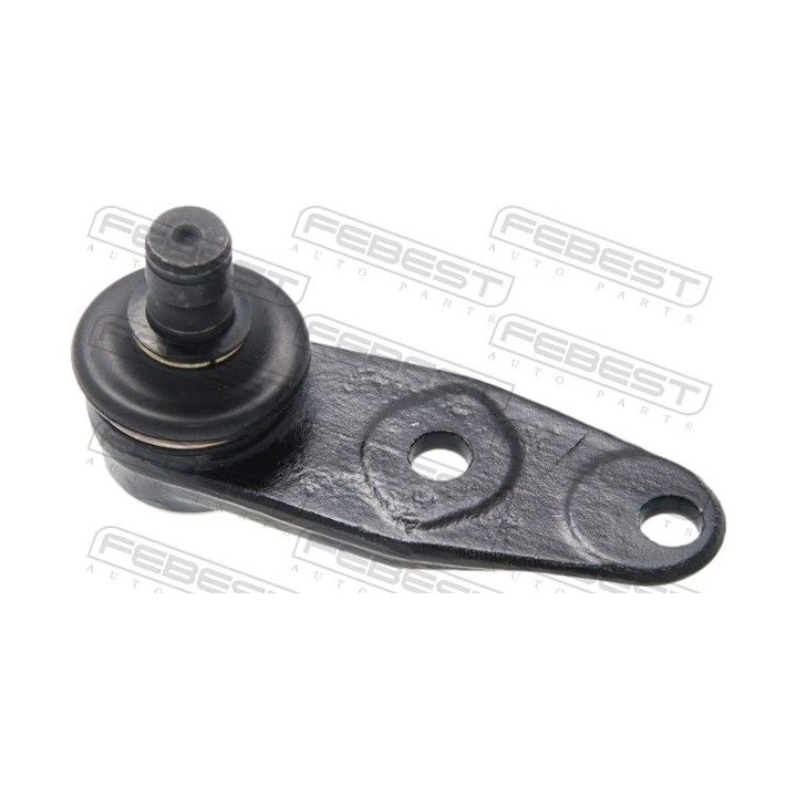 Šarnyras / girgždukas FEBEST 2420-CLIF